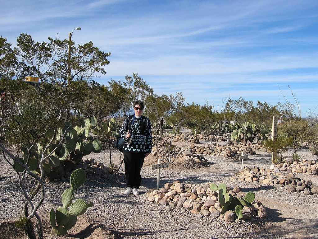 132 Cimetière de Tombstone.jpg